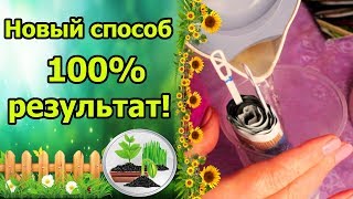 НОВЫЙ СПОСОБ ПОСЕВА – 100% РЕЗУЛЬТАТ! РАССАДА ТОМАТОВ, БАКЛАЖАН, ПЕРЦА БЕЗ ЗЕМЛИ С КИПЯТКОМ!