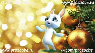 С Новым 2017 Годом ❅❅❅ Красивое поздравление от ZOOBE Зайки Домашней Хозяйки