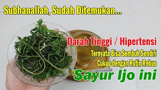 SEJAK RUTIN MNGONSUMSI SAYUR MURAH INI, BAPAKKU SEHAT WAL AFIAT SAMPAI SAAT INI