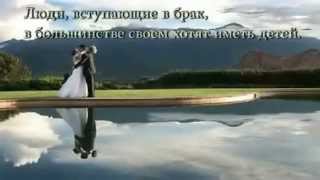 Эффект первого самца