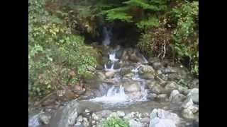 Mini waterfall of Pitt River