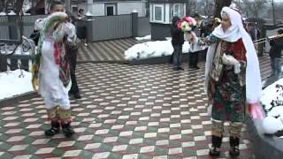 Colindatul pe la case a "Cailor" din Boian, Bucovina.