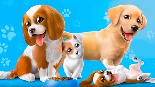 Играем с МИЛЫМИ ЖИВОТНЫМИ в ГОРОДЕ СОБАК. Симулятор маленького щенка