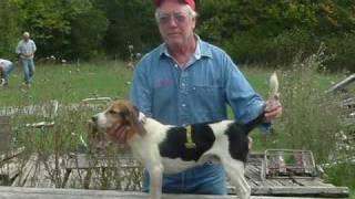 Canadian Beagle Fox Trial Assoc. 2006