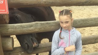 Диана в ZOO 12 месяцев, место счастливых животных, экскурсия по зоопарку, фриз, лев и тигр альбиносы