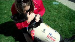 The Tower of Hope, Mellissa Stockwell and Service Dog Jake