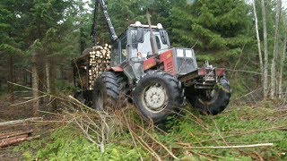 Belarus Mtz 1025 in forest