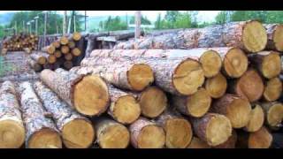 Прикол!!! Активированный уголь!!!avi