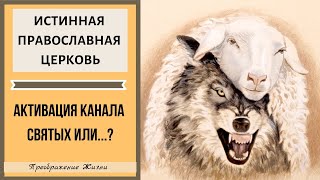 ИСТИННАЯ ПРАВОСЛАВНАЯ ЦЕРКОВЬ. ПОДКЛЮЧЕНИЕ К КАНАЛУ СВЯТЫХ ИЛИ...? Сеанс регрессии 129