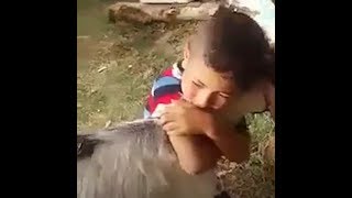 Boy Tries to Save Goat from Slaughter