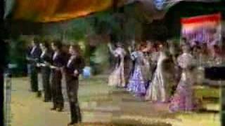 Sevillanas Boleras y Fandango de Huelva spanish flamenco