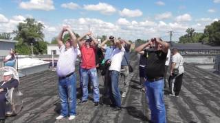 Полеты голубей 11.06.2017(Машошин В.В. г.Кременчуг)