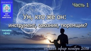 Куда приводит ум | Часть 1  #ЛАВИААНА #ум #разум #духовность