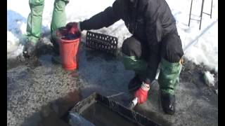 Интересные приманки Выпуск 4 "Мотыль"