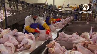 MEXICO TOP CARNE DE CERDO Y AVES