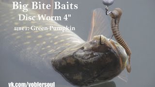 Зимний спиннинг. Ловля щуки на Disc Worm 4 от Big Bite Baits