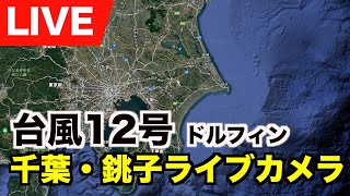 【台風12号ライブカメラ】千葉県銚子市・犬吠埼