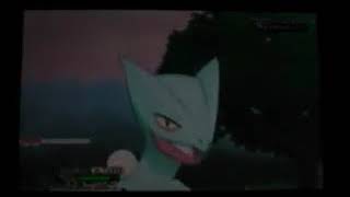 #5 Séviper shiny