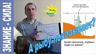 Нужен ли эхолот на зимней рыбалке? А рыбу показывает???