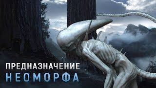 ДЛЯ ЧЕГО ИНЖЕНЕРЫ СОЗДАЛИ НЕОМОРФА? | ПРЕДНАЗНАЧЕНИЕ НЕОМОРФА