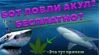 НАКОНЕЦ ТО БОТ ЛОВЛИ АКУЛ PEARS PROJECT !!! Я ПРОДАЮ ВИРТЫ ЗА 50РУБ???