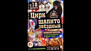 Итоги Цирк Звёздный Новокузнецк 11 августа