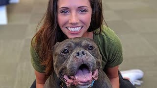Deaf pittie rejected multiple times finally finds loving home