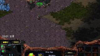[뚜비]저그 투혼테란전초반메카닉류 스타크래프트 StarCraft zerg vs Terran