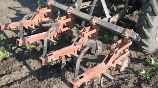 Т-25 + ПРОСАПНИЙ КУЛЬТИВАТОР (НА БУРЯКИ)