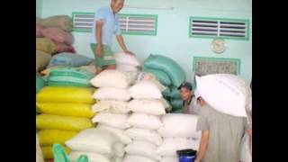 CUNG CẤP GẠO VÀ HỢP TÁC PHÂN PHỐI