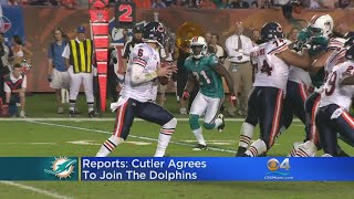 Jay Cutler To Sign One-Year Deal With Miami Dolphins