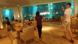 Отель PALACE RESORT YALONG BAY 5* (Хайнань) Китай