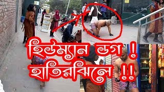 Human Dog || Hatirjheel || Viral Video