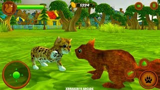 Cat Simulator Pet World - Survive In The Streets - Android Gameplay