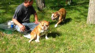 2009 5 25 lake party 077