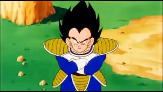 Vegeta I can Fly!