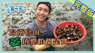 台南【官田獨家  菱角變"烏"金】│2019.11.12│ 《台灣第一等》完整版