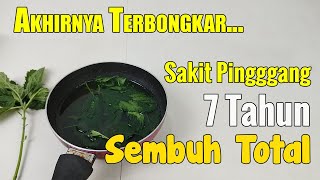 BIKIN GEGER... TAK ADA YANG MENYANGKA, TUMBUHAN YANG SATU INI BISA ATASI ZAKET PINGGANG SECARA ALAMI