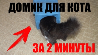 Как сделать домик для кота? Делаем домик для кота своими руками за 2 минуты!