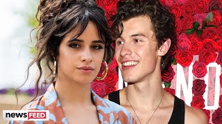 Shawn Mendes & Camila Cabello CONFIRM STEAMY New Collaboration!