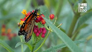 Cincinnati Zoo and Warren Correctional Institution are partnering to save the planet!