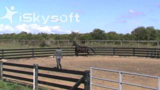 Giuliana LPR - For Sale