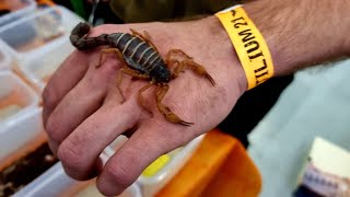 Yoll's stream Reptilium Санкт-Петербург весна 2021!