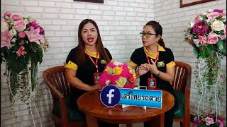 [ รถมือสองสุราษฎร์ธานี ] ไม่มีประวัติเครดิตออกรถได้ไหม