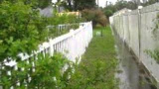 Inadequate Drainage in Wetlands, destroys home, 15ft Polk County Easement not cleared for Drainage