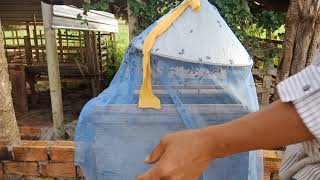 Hướng dẫn ổn định tổ ong mật mới bắt về thùng nuôi "săn bắt đồng nai "