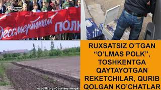 Рухсатсиз ўтган “Ўлмас полк”, Тошкентга қайтаётган рэкетчилар, қуриган кўчатлар