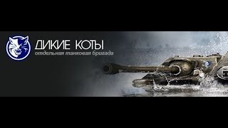 Sevaev_T67_Не смог справиться с прем мотей