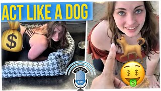 Woman Quits Job & Earns 6 Figures Pretending to be a Dog (ft. BaconAndBiceps)