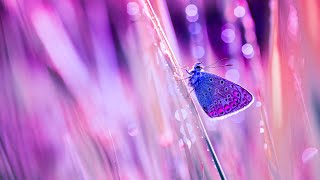 Meditative Relaxing Music | 432Hz Deep Healing | Positive Energy Cleanse | Enhance Self Love